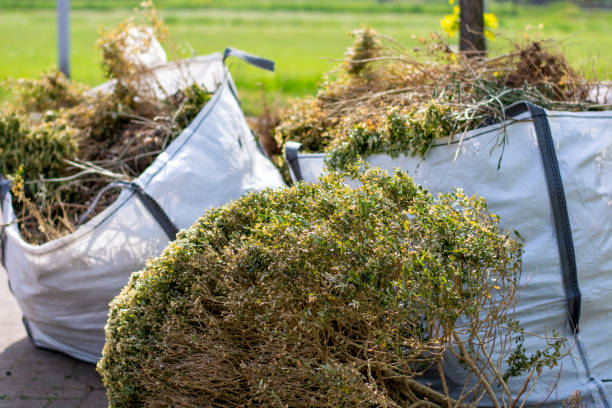 Trusted Castlewood, VA Junk Removal Experts